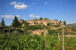 Il borgo di Montefioralle in Toscana, sulle colline del Chianti. Immerso in un paesaggio da sogno si trova uno dei borghi più belli d'Italia.
