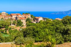 Il borgo di Piana in posizione panoramica sul mare della Corsica occidentale - © Pawel Kazmierczak / Shutterstock.com