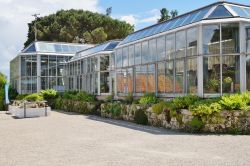 Il Conservatory e Botanical Garden di Ginevra, Svizzera. Fondato nel 1817, questo museo-parco nei pressi del lago di Ginevra ospita più di 16 mila varietà vegetali oltre a molteplici ...