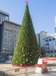 Il grande albero di Natale in Union Square a San Francisco, California, nei pressi del Dewey Monument.