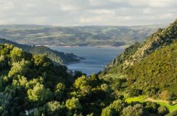 Il Lago di Mulargia in Sardegna. La costa nord fa parte del territorio del Comune di Orroli