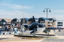 Il monumento all'Orca nella marina di Urk in Olanda - © fokke baarssen / Shutterstock.com