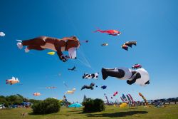 Il Newport Kite Festival a Rhode Island, USA. Si svolge ogni anno il secondo fine settimana di luglio nel parco statale di Brenton Point e raduna centinaia di persone appassionate di aquiloni ...