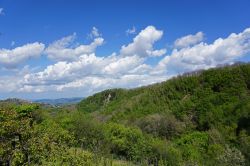 Il paesaggio della Maremma in Toscana nei pressi di Seggiano