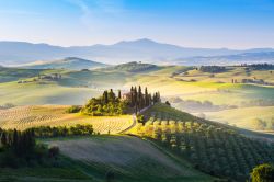 Il paesaggio magico intorno a San Quirico d'Orcia in Toscana, provincia di Siena - ©  Stefano Termanini / Shutterstock.com