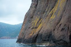 Mare e montagna: le meraviglie di Scandola, Corsica - selvaggia e incontaminata: sono queste le due principali caratteristiche della Riserva Naturale di Scandola, nel nord-ovest della Corsica. ...