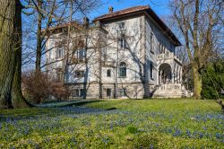 Il Parco di Klepacz con la villa di Joseph Richter a Lodz, Polonia. In primo piano, fiori azzurri primaverili di Scilla Siberica, i falsi giacinti.


