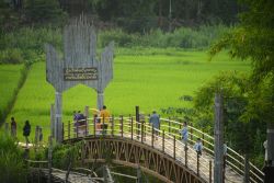 Il ponte di bambù che attraversa campi di riso a Su Tong Pae, provincia di Mae Hong Son (Thailandia) - © Vassamon Anansukkasem / Shutterstock.com
