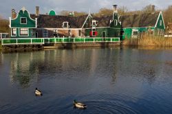 Il quartiere di Zaanse all'Open Air Museum di Arnhem, Olanda. Fondato nel 1912, questo museo-parco è dedicato alla cultura associata alla vita quotidiana della gente - © Ronald ...