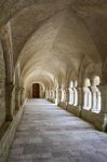 Il vecchio chiostro con colonne dell'abbazia di Fontenay, Borgogna (Francia).
