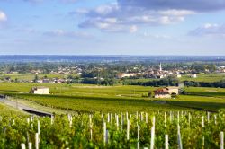 Il villaggio di Romaneche-Thorins circondata da vigneti, Beaujolais, Francia. Questo borgo è costellato di pittoresche casette abitate da poco meno di 2 mila persone.
