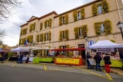 Il villaggio di Tanneron in occasione della Festa della Mimosa (Francia) - © Marina VN / Shutterstock.com