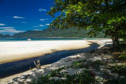 Ilha Grande, Brasile: una bella spiaggia di sabbia vista dall'ombra di un grande albero.

