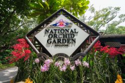 Insegna all'ingresso del National Orchid Garden di Singapore. Su una superficie di 3 ettari si può ammirare la più grande collezione al mondo di orchidee: 60 mila esemplari, ...
