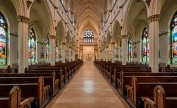 L'interno della cattedrale cattolica di Saint John the Baptist situata al civico n°120 di Broad Street, a Charleston, South Carolina - foto © Nagel Photography / Shutterstock.com ...