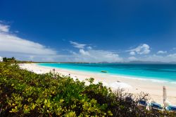 Isola di Anguilla, Caraibi Orientali. Una spiaggia tropicale su quest'isola dalla forma stretta e allungata: i primi esploratori europei le diedero questo nome perché ricordava le ...