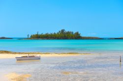 Isola di Eleuthera, Bahamas: acqua cristallina, sabbia rosa e natura rigogliosa.
