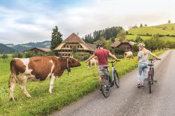 Kambly Tour viaggio nel paesaggio bucolico dell'Emmental in Svizzera.