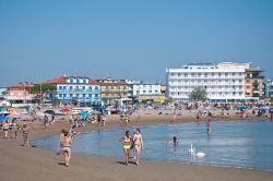 La bella spiaggia di Caorle in Veneto. Il litorale di Caorle vanta un'estensione di oltre 15 chilometri: le spiagge sono caratterizzate da sabbia finissima dorata e da un mare con acqua ...