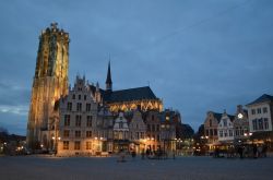 La cattedrale di San Rombaldo nella piazza principale di Mechelen, Belgio, by night. Eretta a partire dal 1217 in forme gotiche secondo la variante brabantina è un vero capolavoro d'arte ...