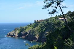 La costa verdeggiante nei pressi di Théoule-sur-Mer, Costa Azzurra, Francia. Affacciato sul Golfo della Napoule, questo borgo è situato a est del massiccio dell'Esterel - © ...