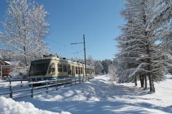 La Ferrovia Vigezzina nei pressi di Re in Piemonte.