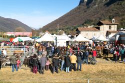 La Fiera di San Martino a Mendrisio inel Canton Ticino - © Stefano Ember / Shutterstock.com