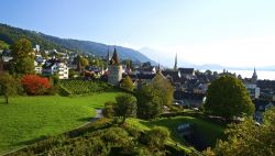 La natura rigogliosa che circonda la cittadina svizzera di Zugo.



