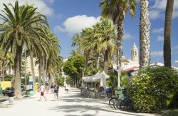 La passeggiata di Sitges fra palme e piante, Spagna - © Pilar Andreu Rovira / Shutterstock.com