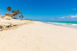 La pittoresca sabbia bianca di Playa del Este a La Havana, Cuba. Siamo in un tratto di litorale che si sviluppa per circa 6 chilometri da ovest verso est alla periferia orientale della città.

 ...