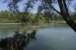 La Riserva del Lago di Persano, Oasi WWF in Campania