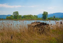 La Riserva Naturale dei laghi Lungo e Ripasottile in provincia di Rieti, nel Lazio