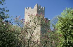 La Rocca e il Mastio di Reggiolo fotografati in Primavera, Emilia-Romagna - © Claudio Magnani, CC BY-SA 4.0, Wikipedia