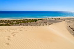 Fotografia della spiaggia di Sotavento a Fuerteventura, Canarie, Spagna. Lunga quasi 20 km in tutta la sua estensione, Sotavento è un vero incanto anche per via delle piscine naturali ...