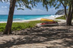 La spiaggia selvaggia di Foul Bay a Barbados si trova nella porzione sud-orientale dell'isola caraibica, e la presenza di alberi la rende ideale per coloro che cercano il sollievo dell'ombra ...