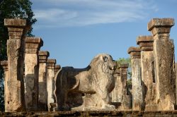 La statua di un leone fra colonne nell'antica Polonnaruwa, Sri Lanka. Siamo nel Nissanka Mallas Palace, la dimora del re noto anche come Kirti Nissanka e Kalinga Lokesvara che guidò ...
