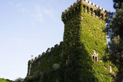 La torre del castello coperta dai rampicanti: siamo a Montalto di Castro nel Lazio