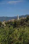 La vecchia città di Bussana, Sanremo, Liguria. Il territorio su cui sorge è circondato da macchia mediterranea, castagneti e pini marittimi.



