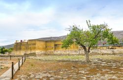 Visita al sito del palazzo di Cnosso a Heraklion, Creta - Con una superficie di 22 mila metri quadrati, il palazzo di Cnosso era a più piani e con una pianta piuttosto complessa e intricata: ...