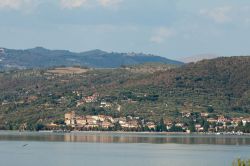 Lago Trasimeno in estate, Umbria - Panorama del Lago Trasimeno, uno dei gioielli naturali più suggestivi dell'Umbria: la campagna circostante che ne incornicia la superficie crea ...