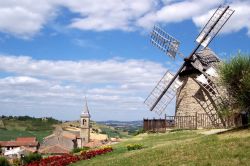 Lautrec  e il suo aglio rosa. Vi consigliamo la visita in bicicletta fino al suo mulino. 