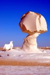 Le strane rocce del Deserto Bianco in Egitto - Foto di Giulio Badini