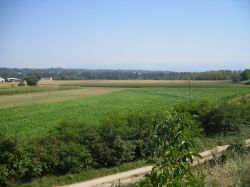 Le Campagne intorno a Cervere: siamo a nord di Cuneo, in Piemonte