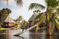 Le capanne del resort Villa Guamà costruite direttamente sull'acqua della Laguna del Tesoro. Siamo nella Ciénaga de Zapata, a Cuba.
