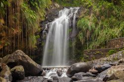 Le cascate Annandale a Grenada, America Centrale. A venti minuti di auto da St.Georges, in direzione nord-est, si trovano queste belle cascate con salti di dieci metri sulle rocce sottostanti. ...