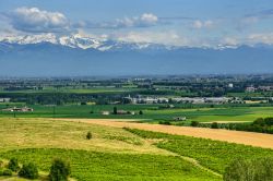 Le colline del Monferrato viste con le Alpi del Piemonte sullo sfondo. In continua competizione con le Langhe e il Roero, le colline del Monferrato si trovano fra Asti e Alessandria. In questa ...