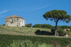 Le terre del vino Aglianico nei dintorni di Melfi in Basilicata