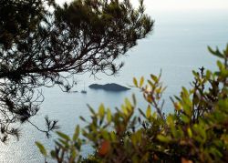 Lo Scoglio del Medico al largo delle coste di Ustica in Sicilia
