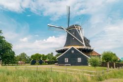 Lo storico mulino a vento di Pelmolen, regione di Overijssel, Olanda.

