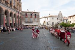 La festa dei pugnaloni ad Acquapendente (Viterbo), come ogni terza domenica di maggio. È una delle più antiche celebrazioni folkloristiche della Tuscia, ed in origine era anche ...